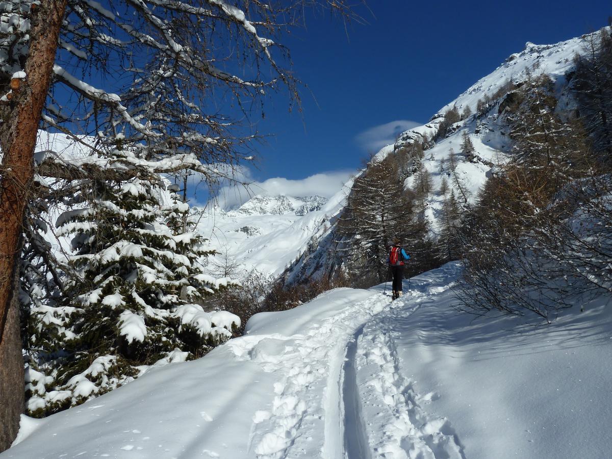 מלון Kals-am Großglockner Alpengasthof Lucknerhaus מראה חיצוני תמונה