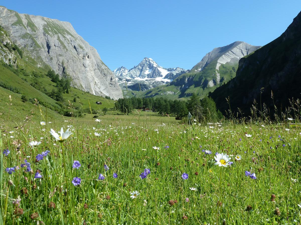 מלון Kals-am Großglockner Alpengasthof Lucknerhaus מראה חיצוני תמונה